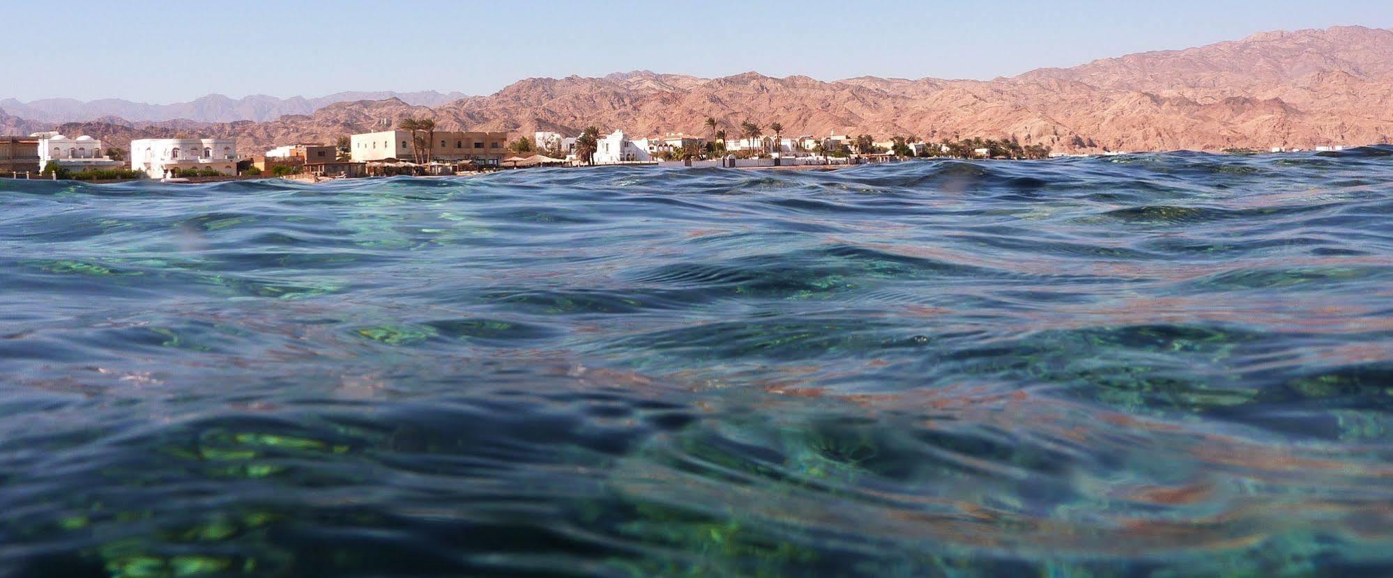La Reine Dahab Hotel Ngoại thất bức ảnh
